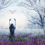 Winter_FB