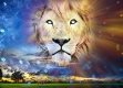 King of Glory